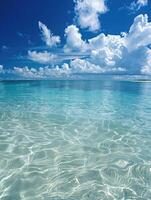Shimmering Waters A Serene Reflection of Natures Beauty photo