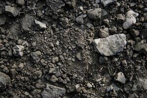 Detailed examination of nutrientrich topsoil composition and texture photo