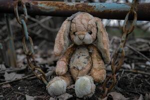 Abandoned Bunny The Forgotten Toy by the Swing Set photo