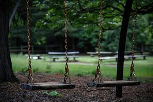 Lonely Swings Swaying in the Wind A Tale of Absence photo