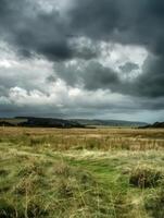 Whispers of Bygone Days A Desolate Windswept Land in Downturn Sussex photo