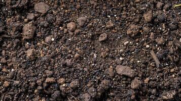 Rich Dark Brunette Soil A Microscopic Exploration photo