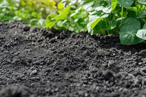Nutrientrich Grey Topsoil for Thriving Garden Growth photo