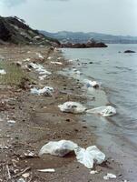 Remnants of Pollution Garbage Bags Cover a Pristine Beach photo
