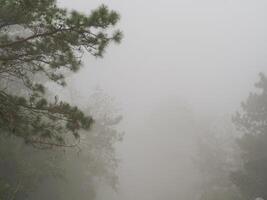 Fog on the mountains in the rainy season photo