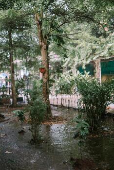 Trees and garden under heavy rain, causing water to overflow and flood the area, creating a wet and lush scene photo
