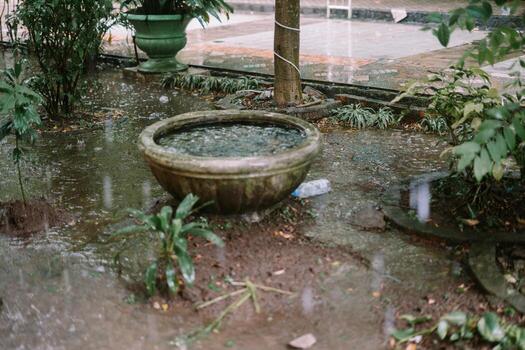 Trees and garden under heavy rain, causing water to overflow and flood the area, creating a wet and lush scene photo