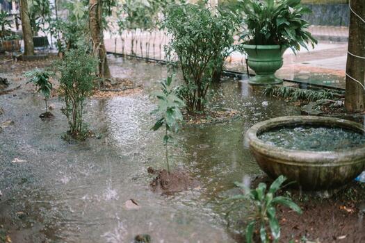 Trees and garden under heavy rain, causing water to overflow and flood the area, creating a wet and lush scene photo