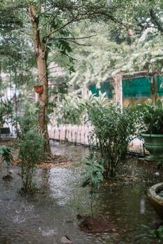 Trees and garden under heavy rain, causing water to overflow and flood the area, creating a wet and lush scene photo