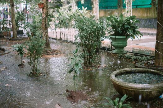 Trees and garden under heavy rain, causing water to overflow and flood the area, creating a wet and lush scene photo