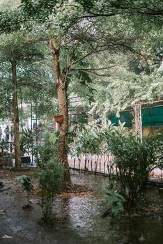 Trees and garden under heavy rain, causing water to overflow and flood the area, creating a wet and lush scene photo