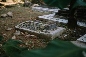 Graveyard with rows of tombstones, portraying a serene and contemplative atmosphere photo