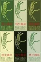 Set of drawing WOOD CLUBRUSH in Chinese in various colors. Hand drawn illustration. The Latin name is SCIRPUS SYLVATICUS L. vector