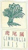 Drawing GEMMINGIA in Chinese. Hand drawn illustration. The Latin name is IRIS L. vector