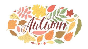 Fall leaves in colorful arrangement with Autumn text lettering, perfect for seasonal design projects vector