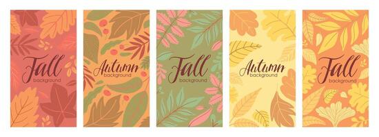 Autumn background set with colorful fall leaves, vibrant patterns, and seasonal foliage design vector