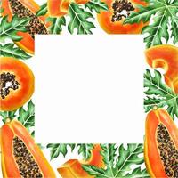 Marker frame and templates with sweet ripe slice of papaya with grains in watercolor style. Hand drawn realistic tasty organic illustration of exotic tropical fruit isolated on background. For d vector