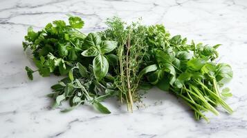 Assorted Fresh Herbs Still Life on Marble Surface photo