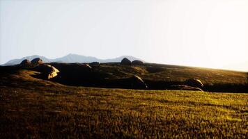 Green meadow on the background of the mountains video