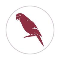 Parrot design beautiful abstract art colorful trendy illustration background vector