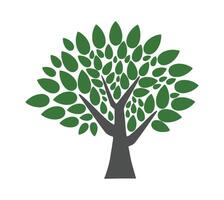 tree icon with green leaves, art, graphics vector