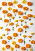 orange marigold flowers arranged in a pattern on a white surface photo