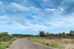 Curved path of asphalt road. One side is a cassava plantation. On the opposite side of the area and go the right way and cut down the trees and grass at Thailand. Under blue sky and white clouds. photo