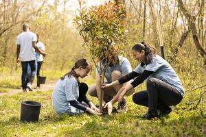 Volunteers and a little kid planting tree and covering hole in the ground, contributing to reforestation and increasing vegetation in the woods. Dedicated people working together for the nature. photo