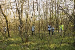 Team of lifesavers rescuers searching for a missing person, calling their name in the forest and going through the trees to track footsteps. Search squad members looking for a lost victim. photo