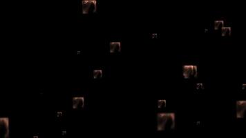 a black background with many small boxes on it video