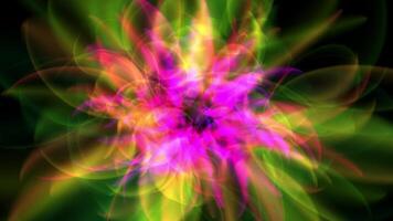 a colorful flower with a green and pink center video