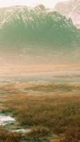 Grassy Field With a Serene Stream video