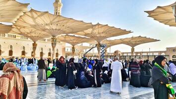 Medina, Saudi Arabia on March 1, 2024. Queues of female Umrah pilgrims from all over the world line up to enter Raudhah or the Tomb of the Prophet Muhammad. Gate 37. Use a registered Tasreh or Nusuk. photo