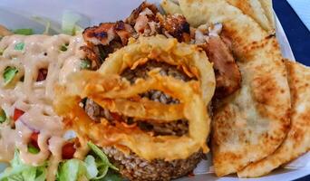 The food was bought from Doner Kebab, which contained briyani rice, roti canai, photo