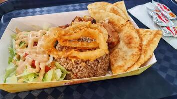 The food was bought from Doner Kebab, which contained briyani rice, roti canai, photo