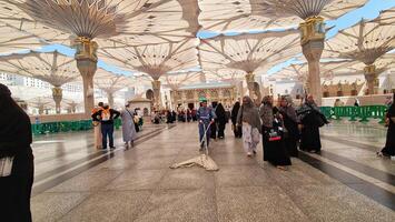 Medina, Saudi Arabia on March 2, 2024. Point of view of an Umrah or Hajj pilgrim walking in the courtyard of the Nabawi Mosque photo