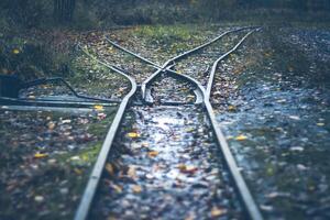 narrow gauge railway - railway turnout - rails in the autumn forest photo