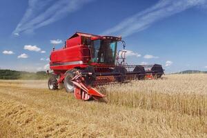 Red harvester harvesting grain on field photo