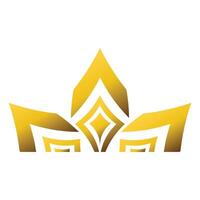 luxury golden geometry element vector
