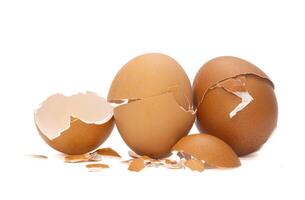 Cracked egg shells, isolated on white background photo
