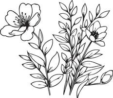 Flower coloring page and books, monochrome sketch, spring flower sketch, spring flower , floral background with spring flower natural leaf collection, illustration pencil art spring vector