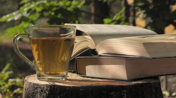 A peaceful scene of a cup of tea and books resting on a tree stump in a forest setting. The sun shines through the leaves, creating a warm and inviting atmosphere. Concept of reading in nature. video