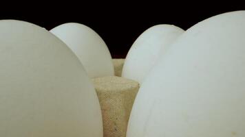 A close up shot of white chicken eggs in a cardboard carton. The eggs are arranged in a row and the carton is made of brown cardboard. The is shot in a dark studio with a black background. video