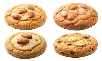Collection of round biscuit cookies, classic and walnut set, on a white background. photo