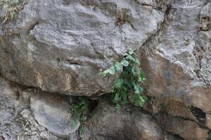 Rough rock and stone surface texture photo