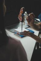 Doctor showing internal organs in 3d human model. Woman with stethoscope in lab coat sitting at table with laptop and talking about people anatomy. Health care and medical education concept. photo