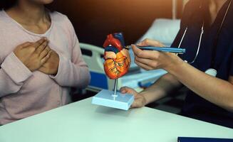 Doctor showing internal organs in 3d human model. Woman with stethoscope in lab coat sitting at table with laptop and talking about people anatomy. Health care and medical education concept. photo