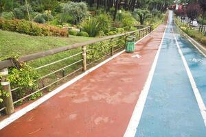 Enjoy jogging and cycling in a colorful park with lush greenery and scenic views photo