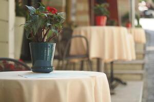 A table in a cozy cafe setting, embellished with a flower arrangement and a bottled beverage photo