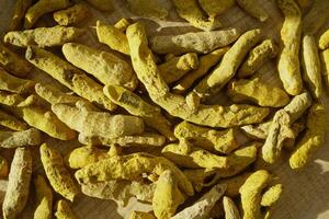 A detailed image captures turmeric roots drying in sunlight, part of the spice production process photo